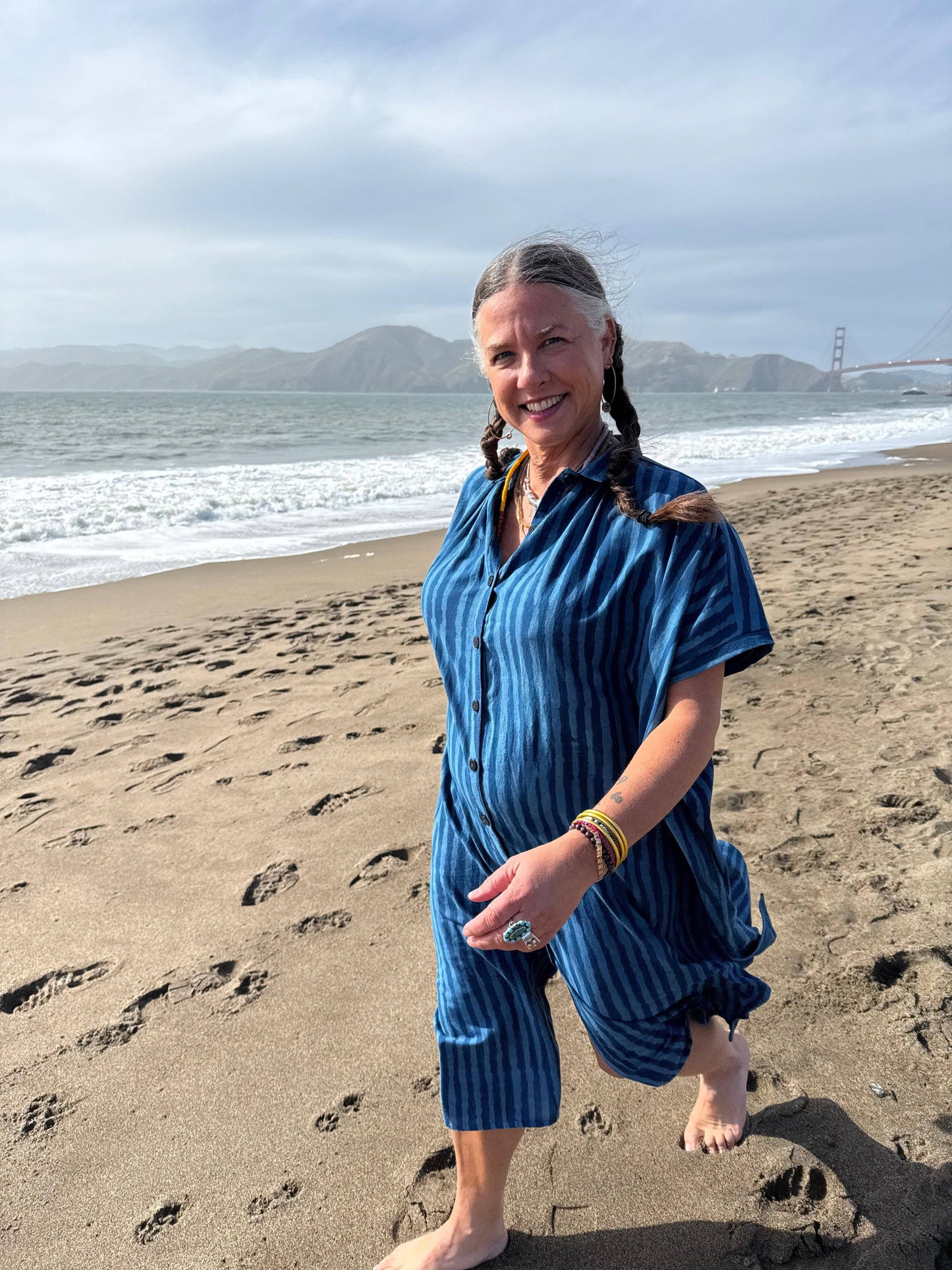 Elise Indigo Stripe Dress