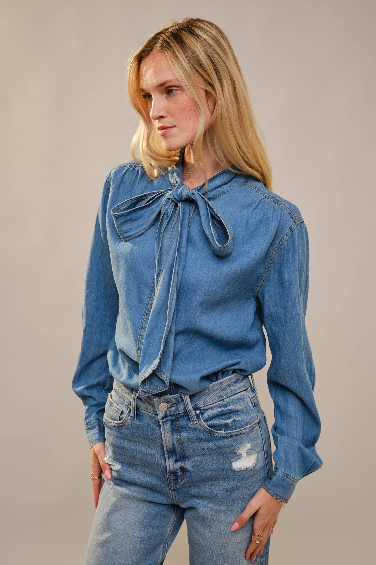 Tie Neck Chambray Blouse